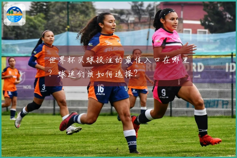 世界杯买球投注的最佳入口在哪里？球迷们该如何选择？