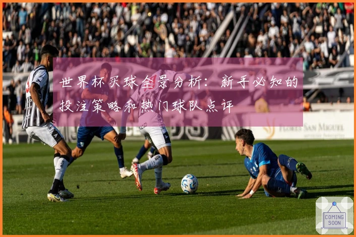 世界杯买球全景分析：新手必知的投注策略和热门球队点评