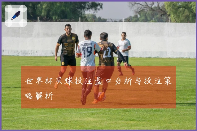 世界杯买球投注盘口分析与投注策略解析
