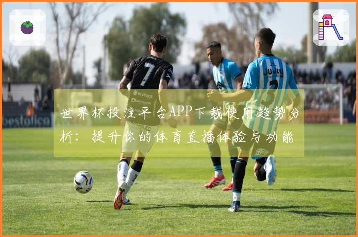 世界杯投注平台APP下载使用趋势分析：提升你的体育直播体验与功能了解