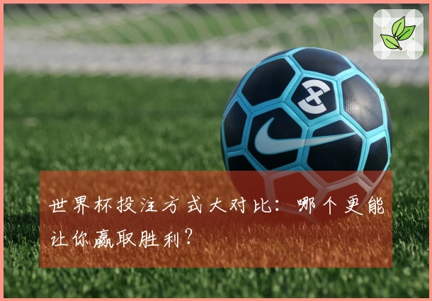 世界杯投注方式大对比：哪个更能让你赢取胜利？