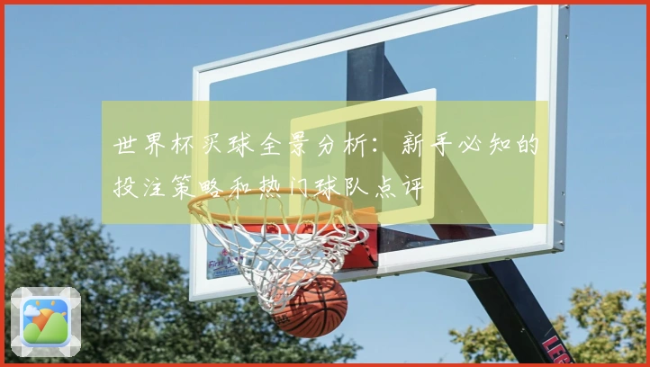 世界杯买球全景分析：新手必知的投注策略和热门球队点评