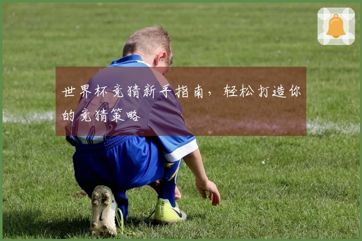 世界杯竞猜新手指南，轻松打造你的竞猜策略