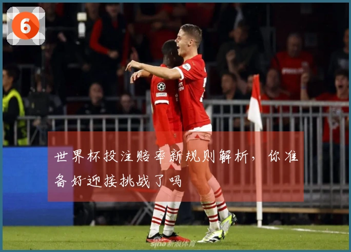 世界杯投注赔率新规则解析，你准备好迎接挑战了吗