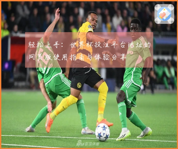 轻松上手:世界杯投注平台地址的网页版使用指南与体验分享