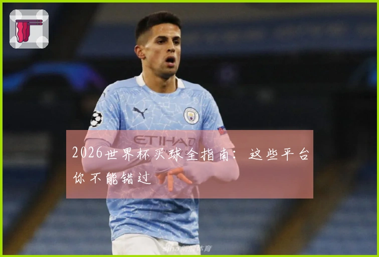 2026世界杯买球全指南：这些平台你不能错过