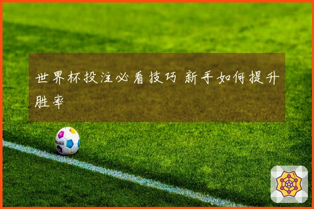 世界杯投注必看技巧 新手如何提升胜率