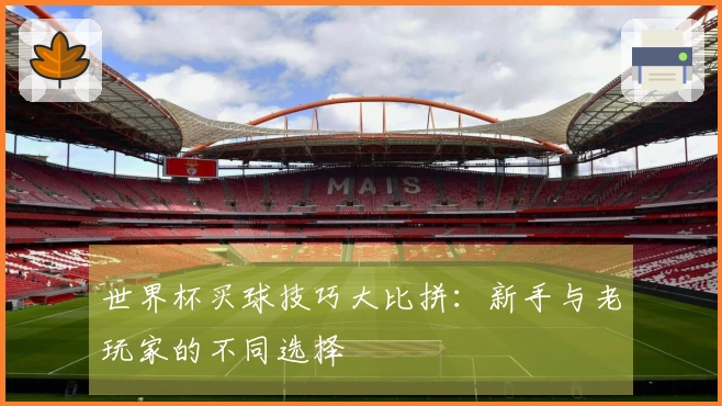 世界杯买球技巧大比拼：新手与老玩家的不同选择