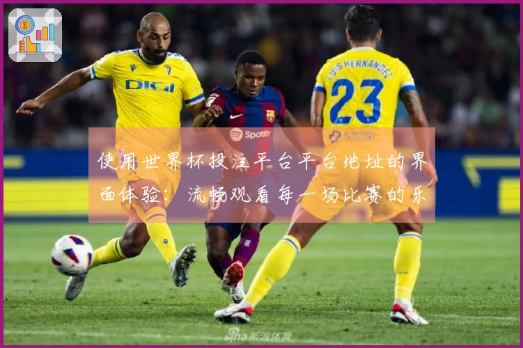 使用世界杯投注平台平台地址的界面体验：流畅观看每一场比赛的乐趣