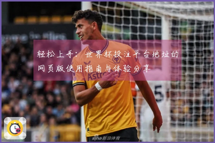 轻松上手：世界杯投注平台地址的网页版使用指南与体验分享